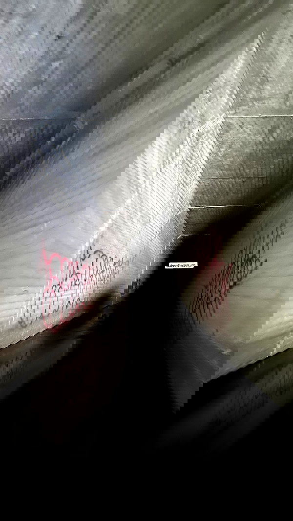 suikomuu suikomuu archive image