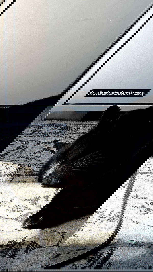 suikomuu suikomuu archive image