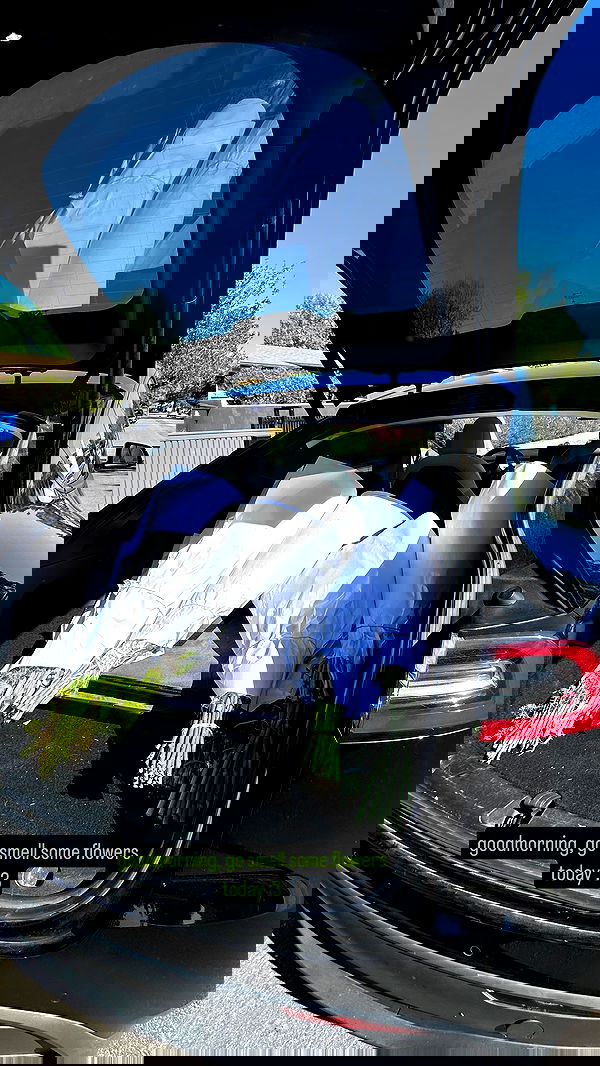 suikomuu suikomuu archive image