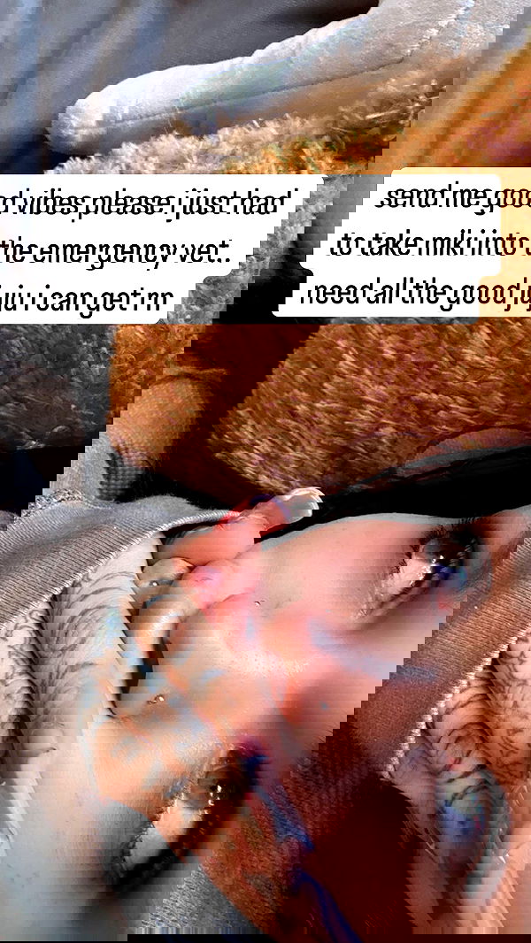 suikomuu suikomuu archive image