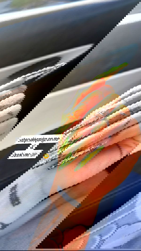 suikomuu suikomuu archive image