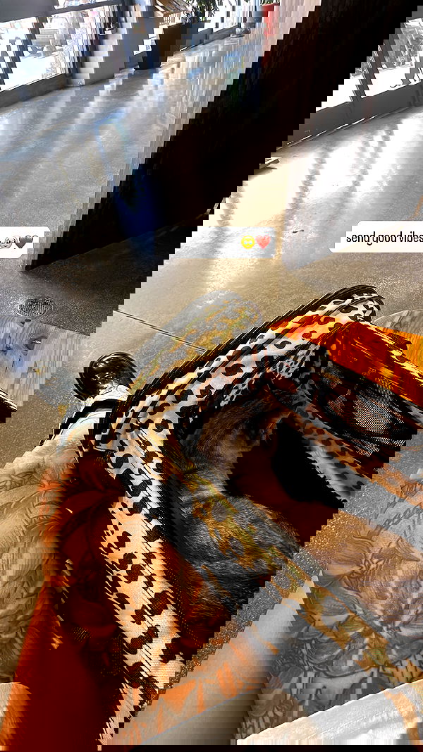 suikomuu suikomuu archive image