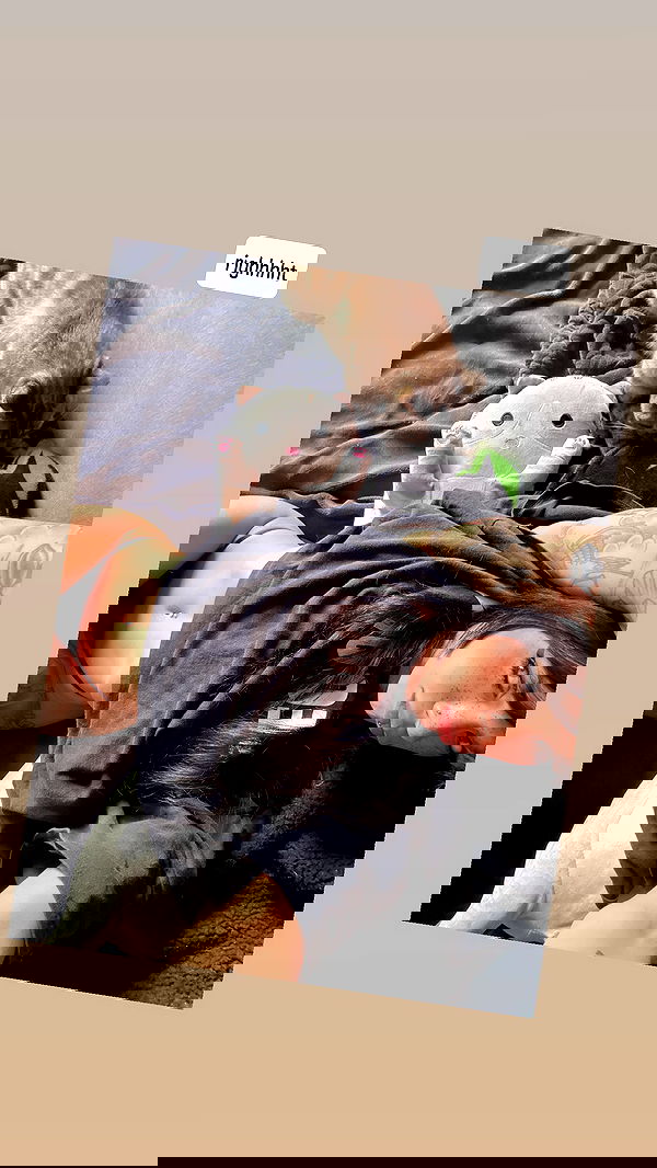 suikomuu suikomuu archive image