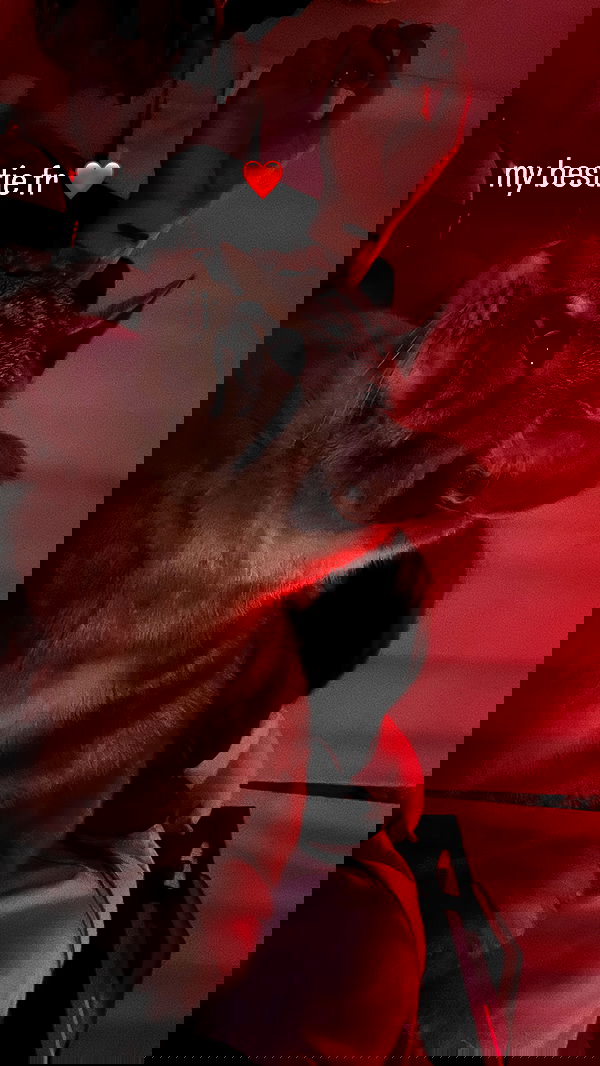 suikomuu suikomuu archive image