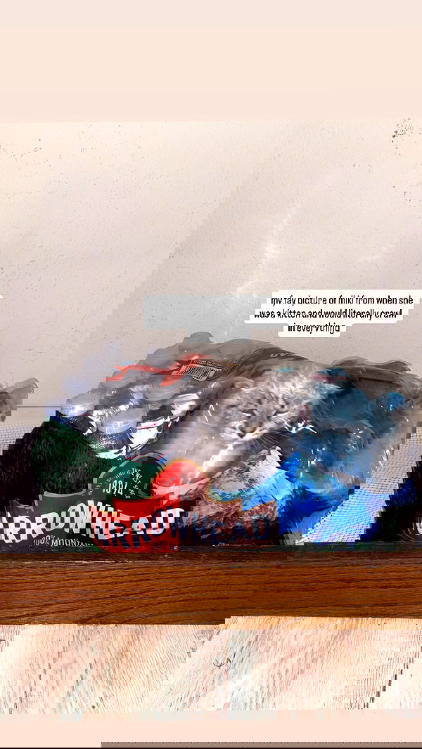 suikomuu suikomuu archive image