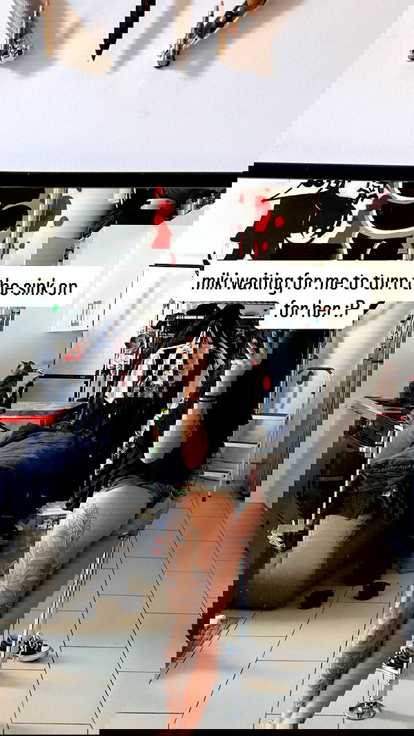 suikomuu suikomuu archive image