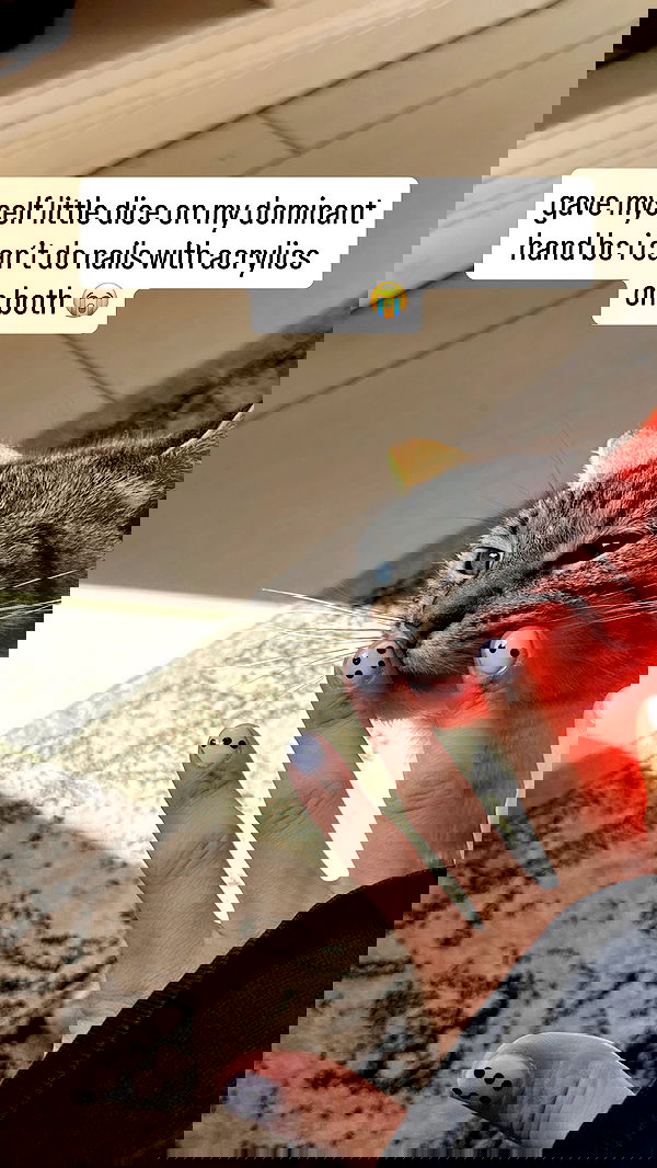 suikomuu suikomuu archive image