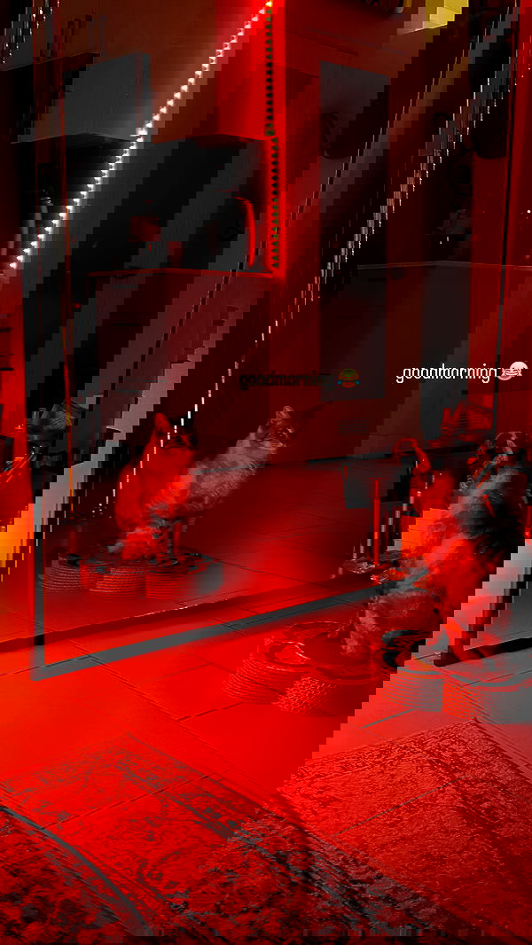 suikomuu suikomuu archive image