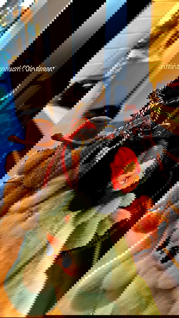 suikomuu suikomuu archive image