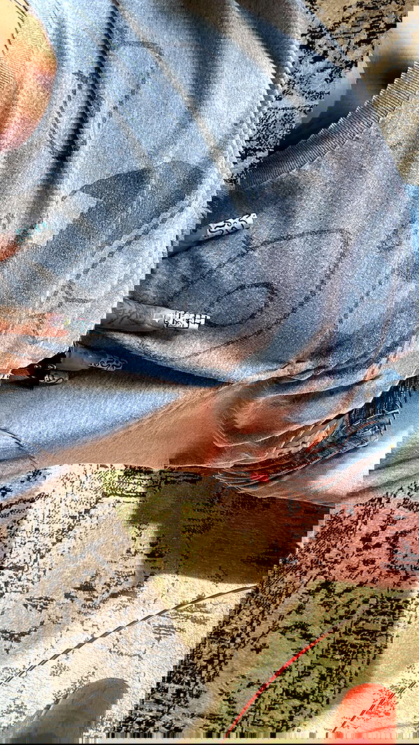 suikomuu suikomuu archive image