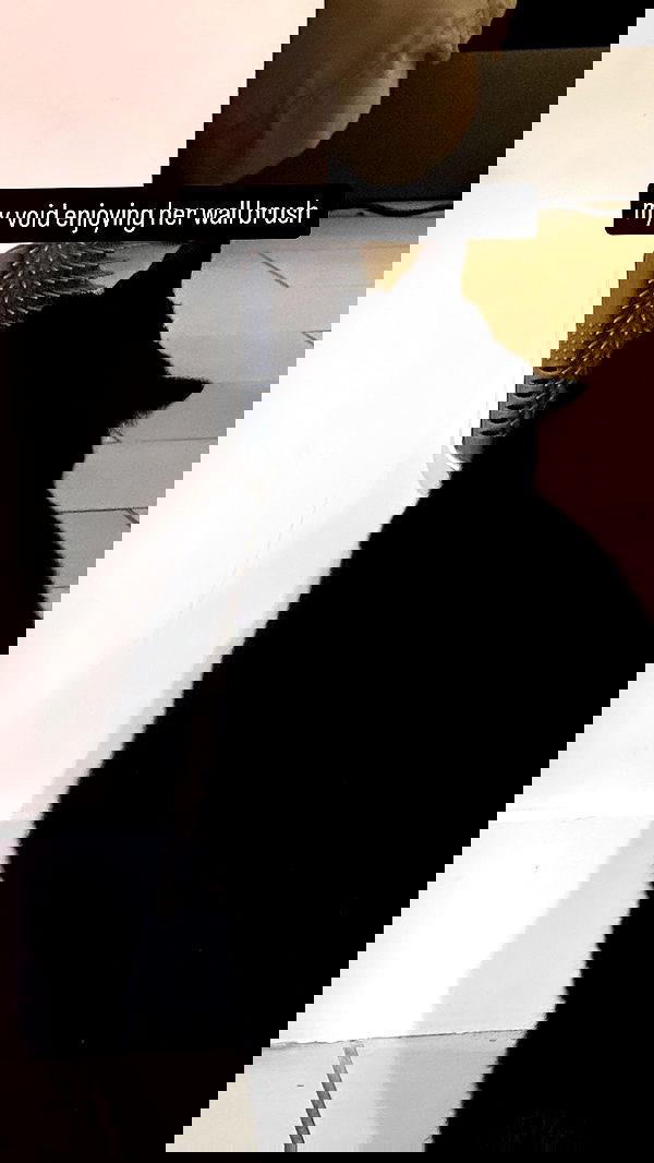 suikomuu suikomuu archive image