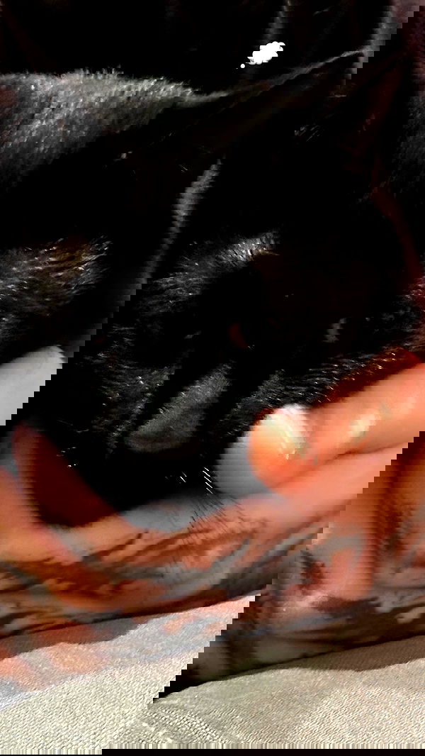 suikomuu suikomuu archive image