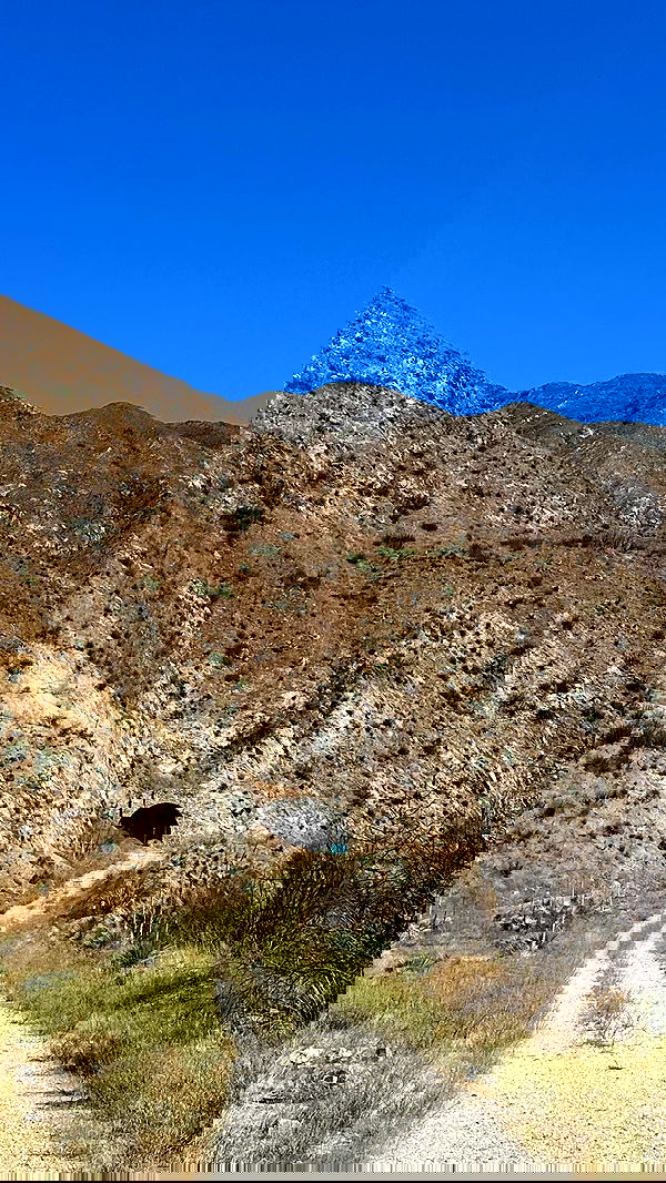 suikomuu suikomuu archive image