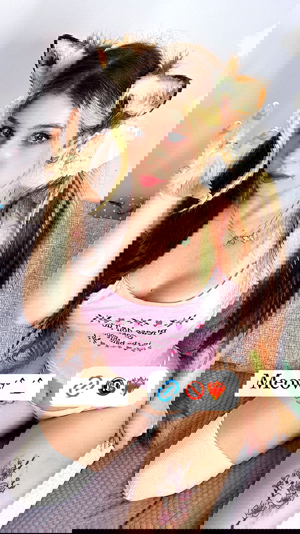 sun_bunky sun_bunky archive image