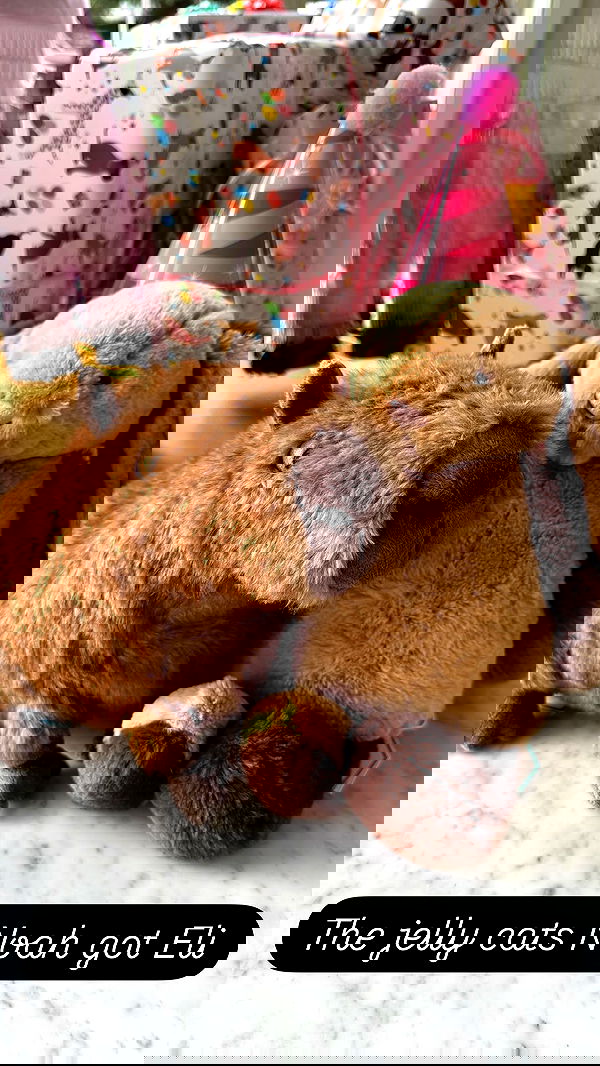 sundaykalogeras sundaykalogeras archive image