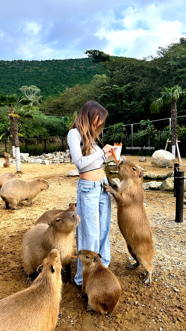 supcaitlin instagram image archive image