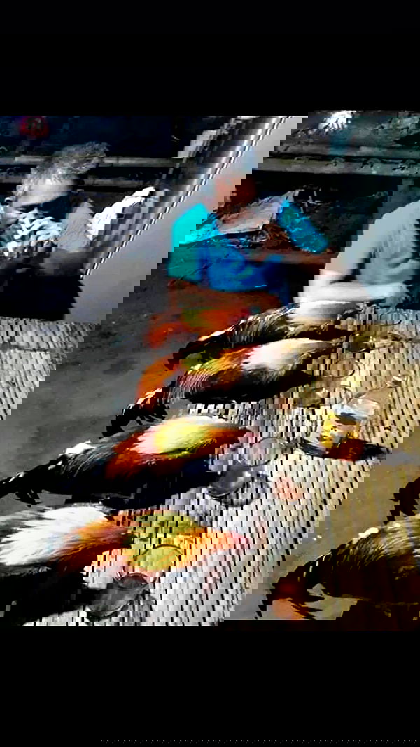 susu_jpg susu_jpg archive image