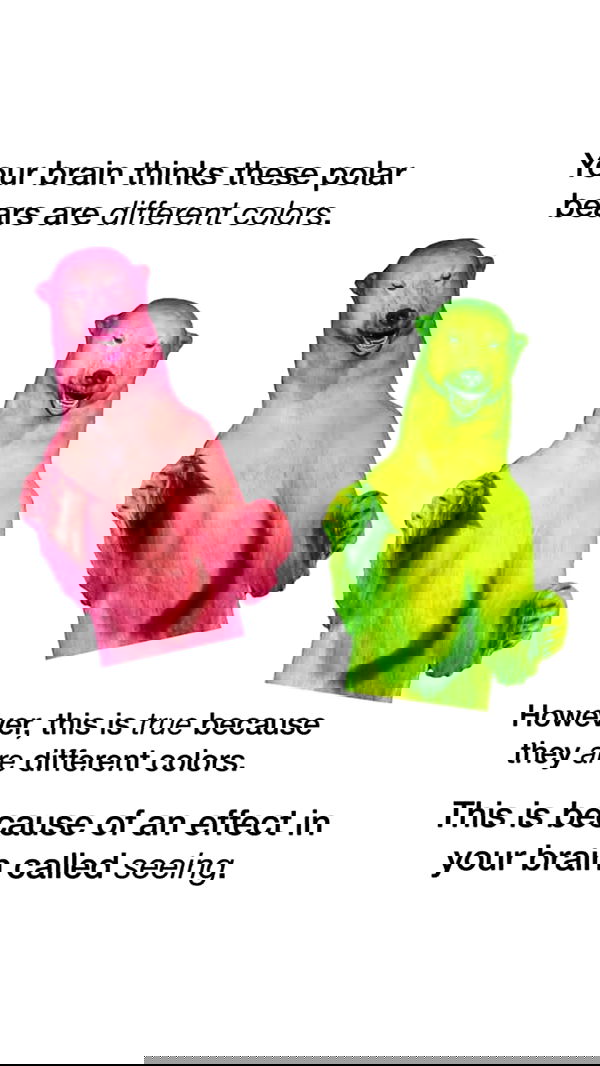 susu_jpg susu_jpg archive image