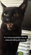 sweetestkttygrl Altpins Profile Picture