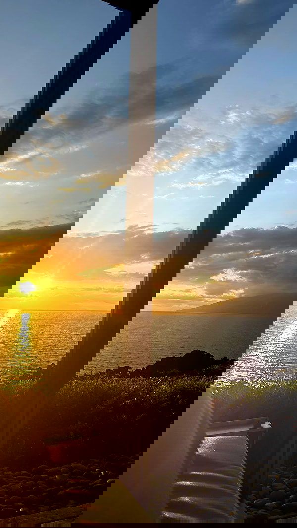 sweetmuffinnss sweetmuffinnss archive image