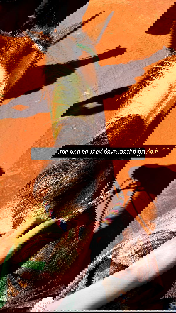 sweetmuffinnss sweetmuffinnss archive image