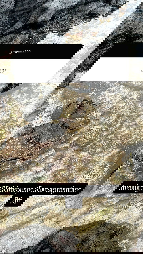 sweetmuffinnss sweetmuffinnss archive image