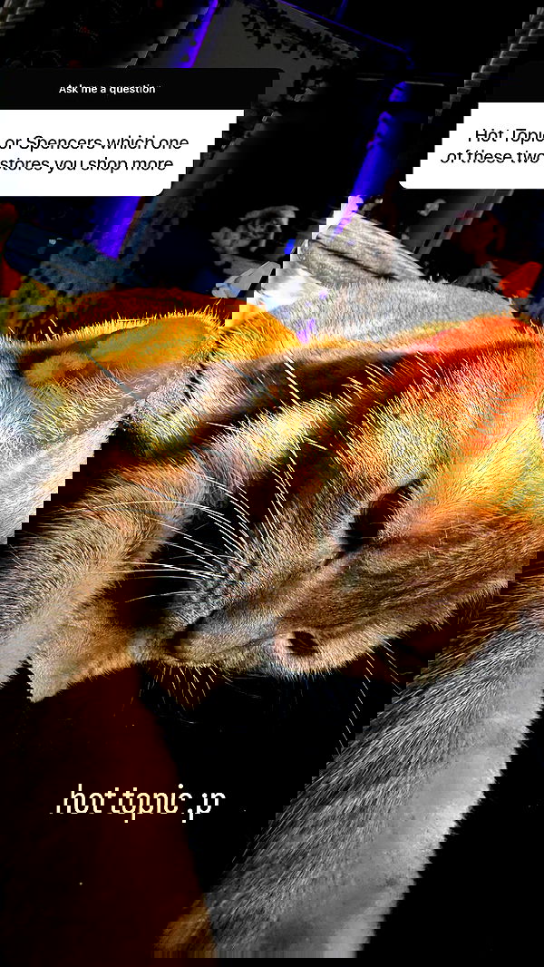 sweetmuffinnss sweetmuffinnss archive image