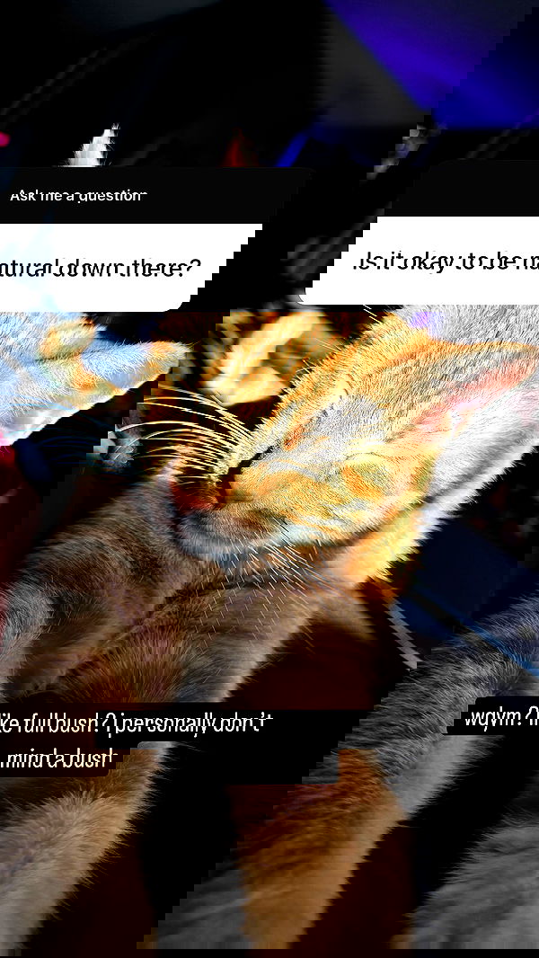 sweetmuffinnss sweetmuffinnss archive image