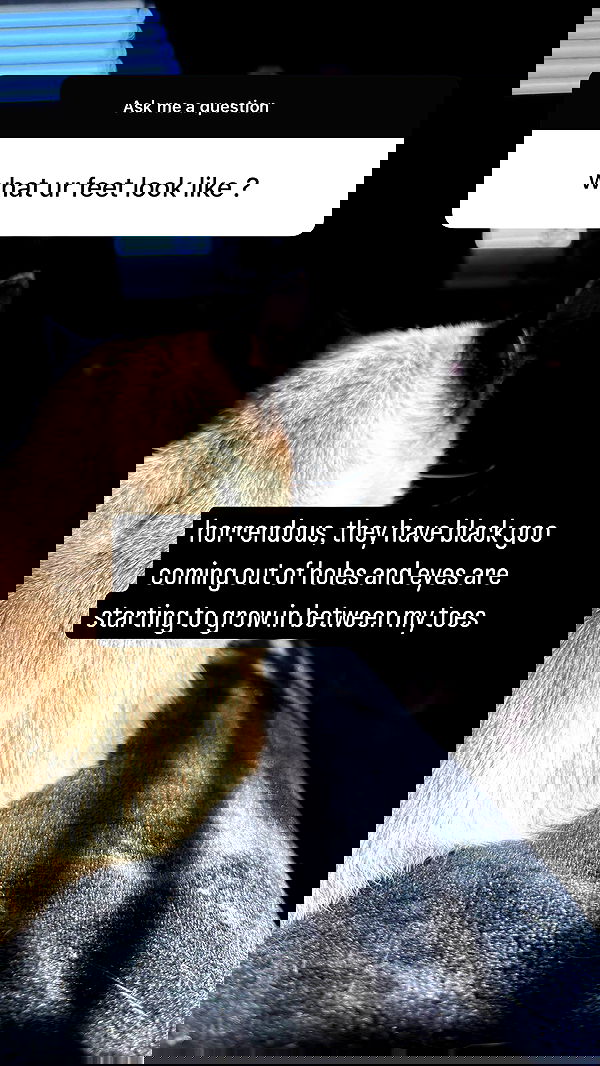 sweetmuffinnss sweetmuffinnss archive image