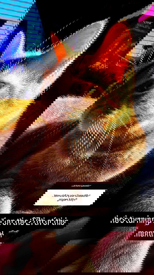 sweetmuffinnss sweetmuffinnss archive image