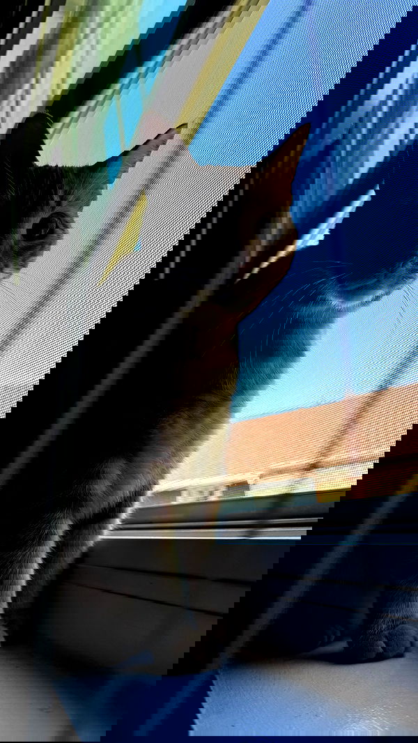 sweetmuffinnss sweetmuffinnss archive image