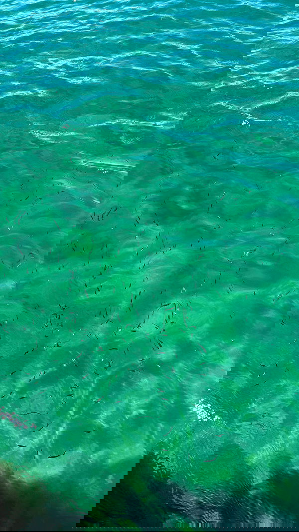 sweetmuffinnss sweetmuffinnss archive image