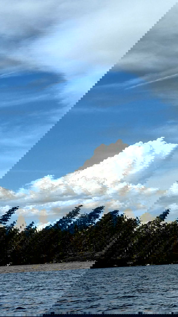 sweetmuffinnss sweetmuffinnss archive image