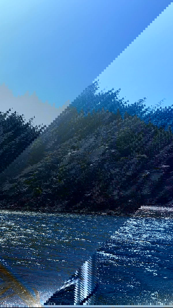 sweetmuffinnss sweetmuffinnss archive image