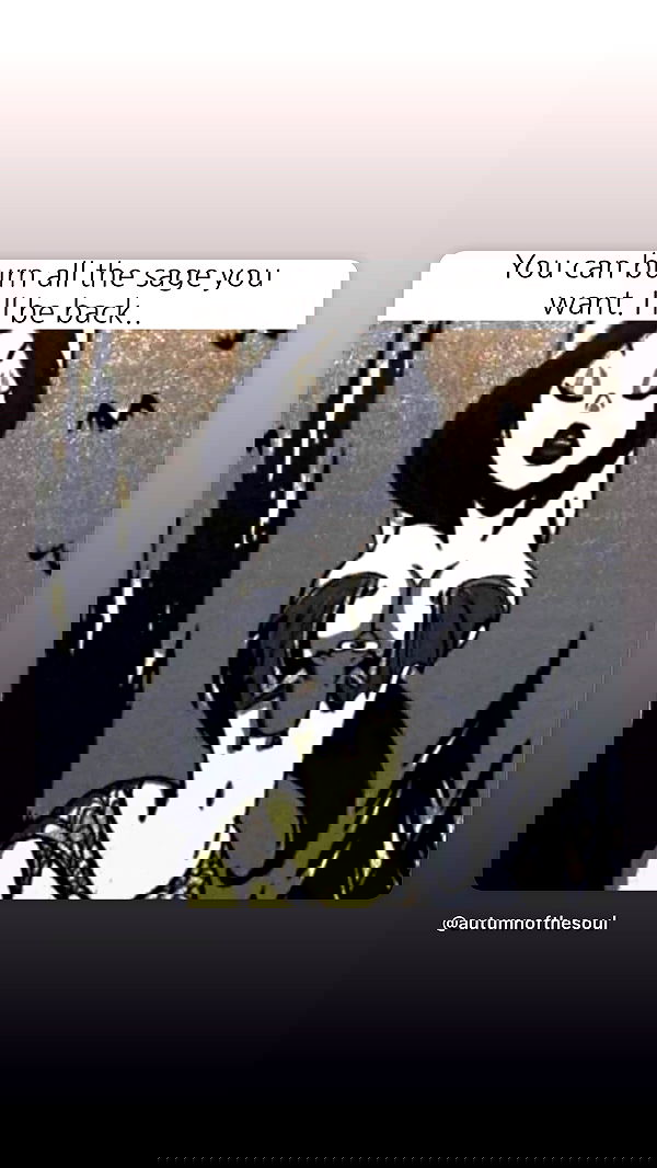 sweetmuffinnss sweetmuffinnss archive image