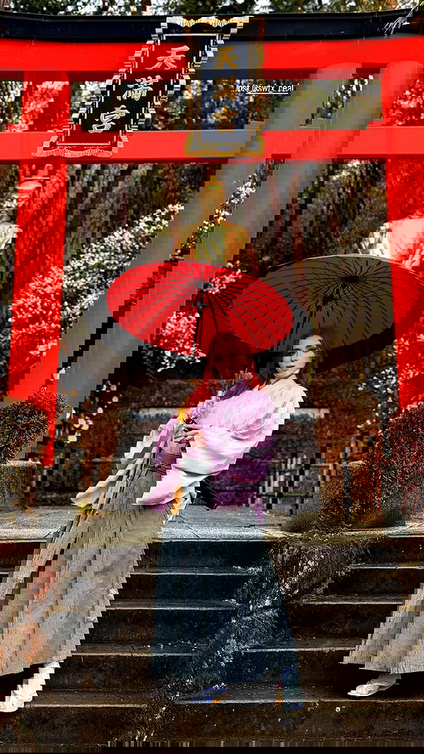 swfx_real swfx_real archive image