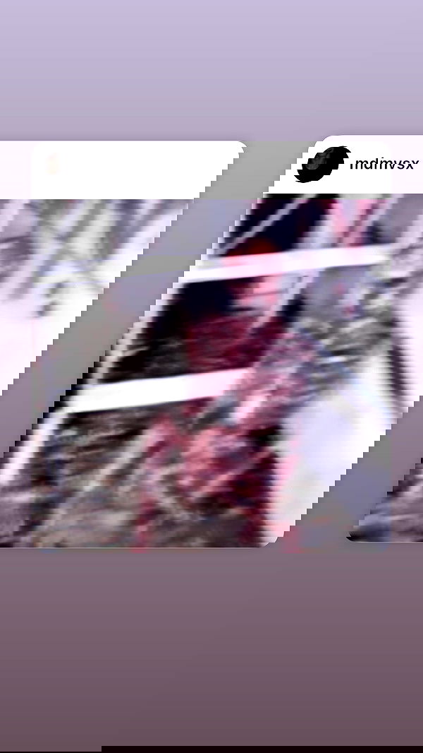 sx.llexxy sx.llexxy archive image