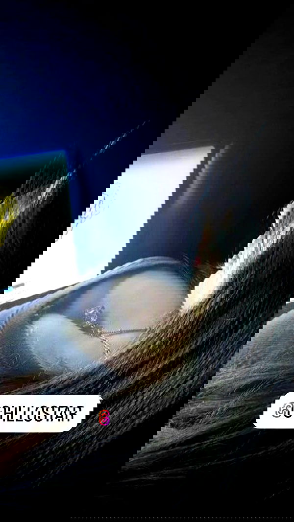 sx.llexxy sx.llexxy archive image