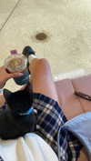 sydney_melman Altpins Profile Picture
