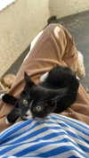 sydney_melman Altpins Profile Picture