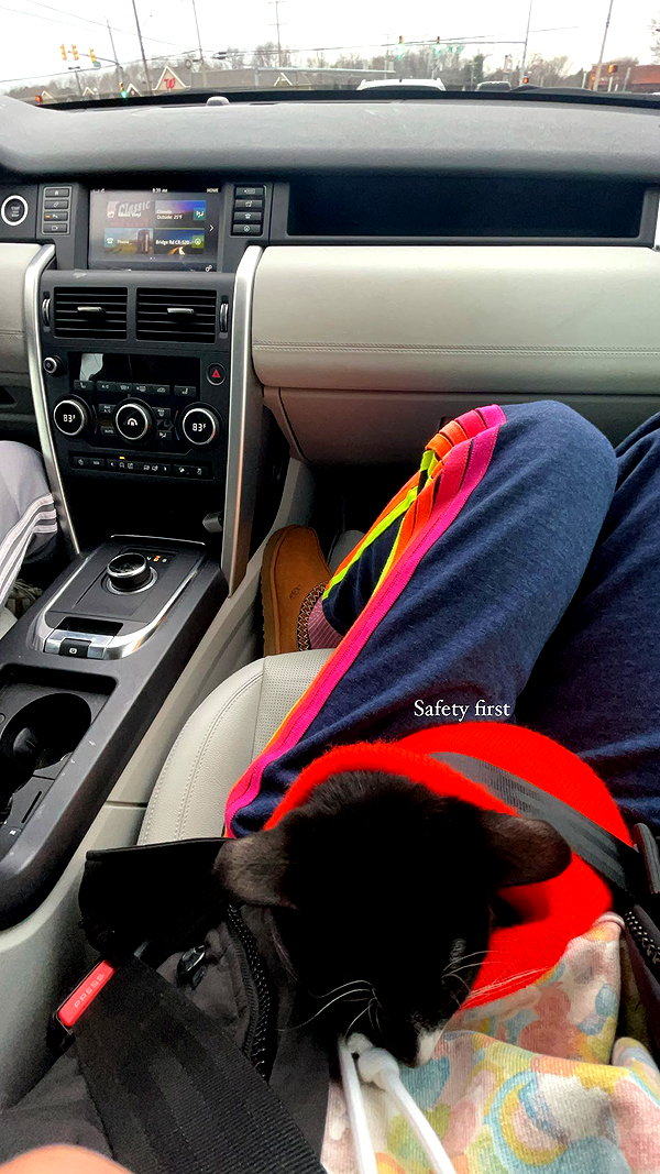 sydney_melman instagram image archive image