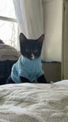 sydney_melman Altpins Profile Picture