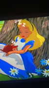 sydney_melman Altpins Profile Picture