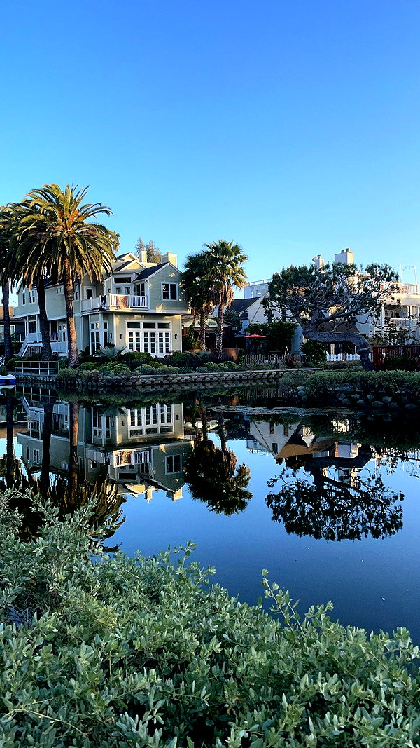 sydney_melman sydney_melman archive image