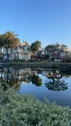 sydney_melman Altpins Profile Picture