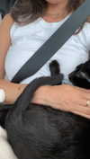 sydney_melman Altpins Profile Picture