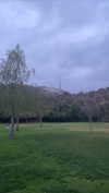 sydney_melman Altpins Profile Picture