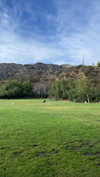 sydney_melman Altpins Profile Picture