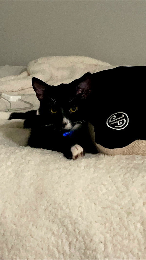 sydney_melman instagram image archive image