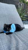 sydney_melman Altpins Profile Picture